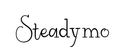 Steadymo - logo